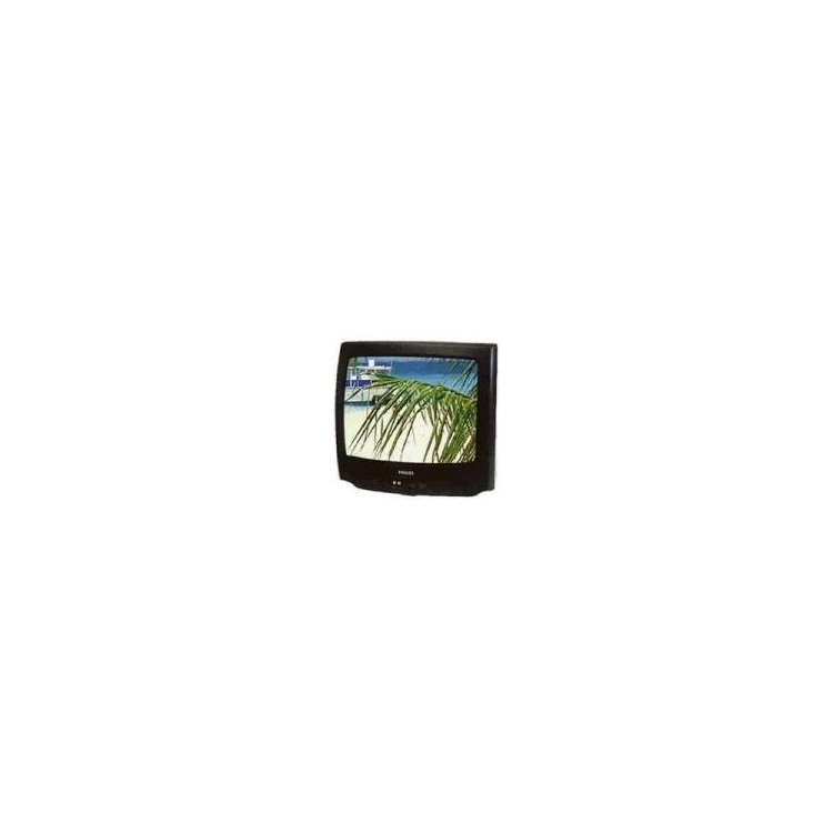Philips 14PT138A/58R