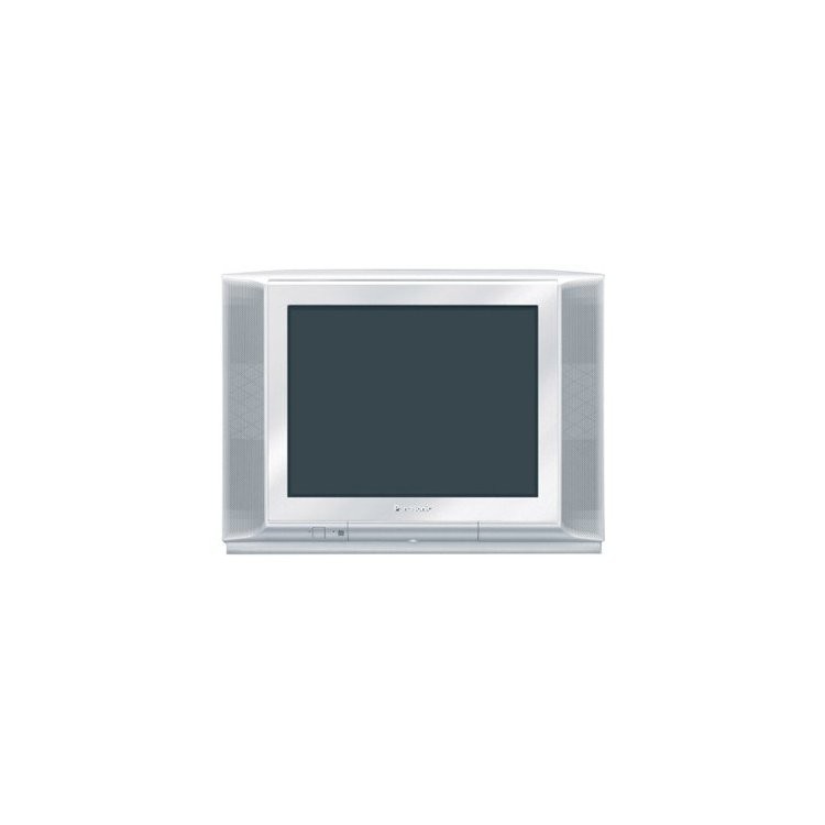 Panasonic TC-21FX10TS