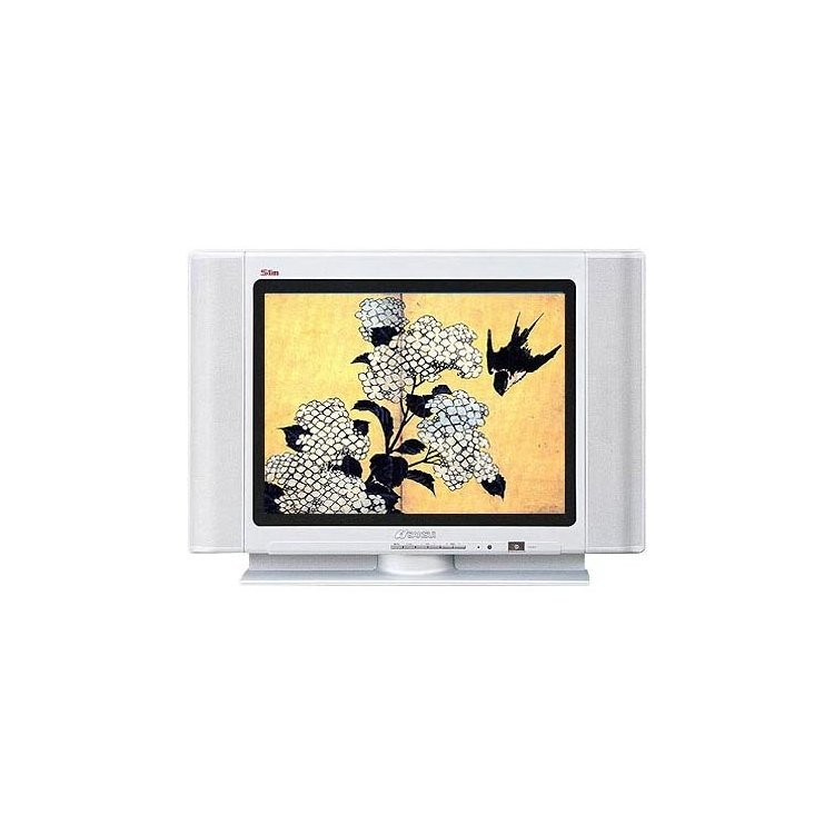 Sansui CT2902SS