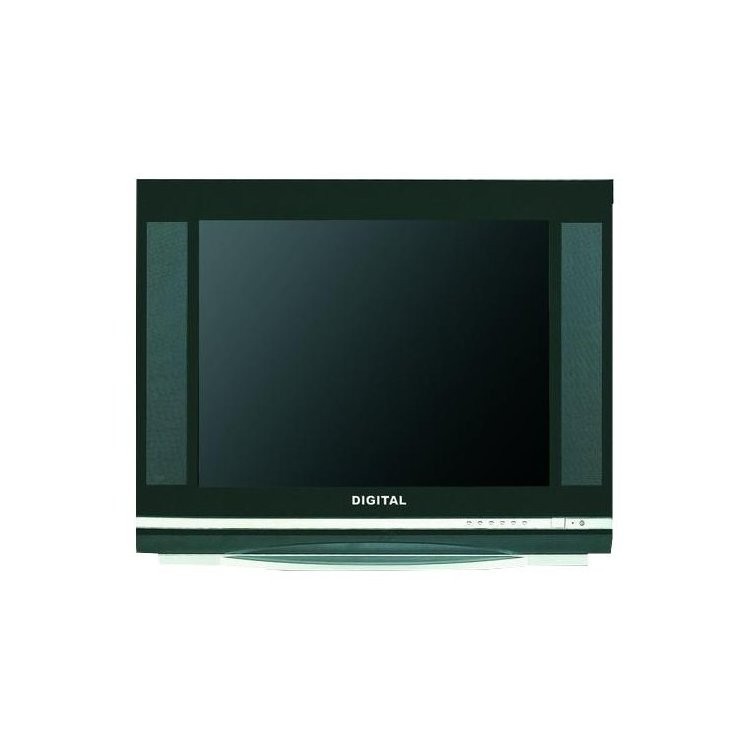 Digital DTV-S299