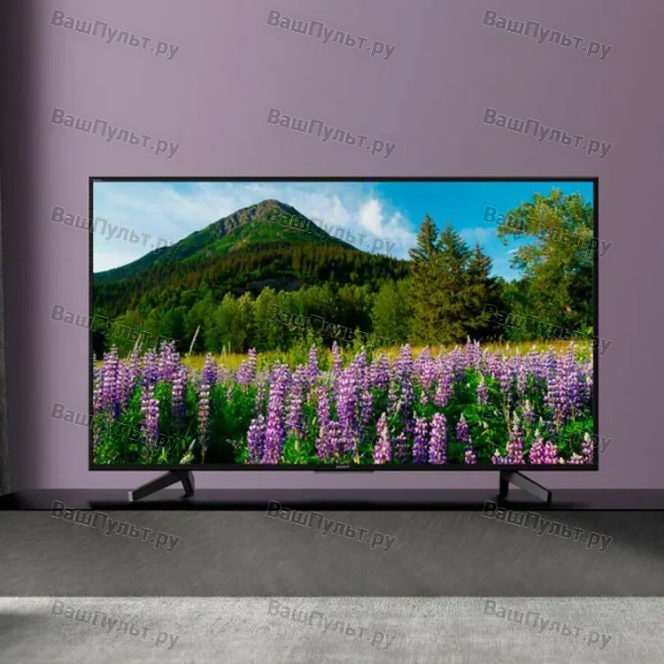 Sony KD-65XF7096BR2
