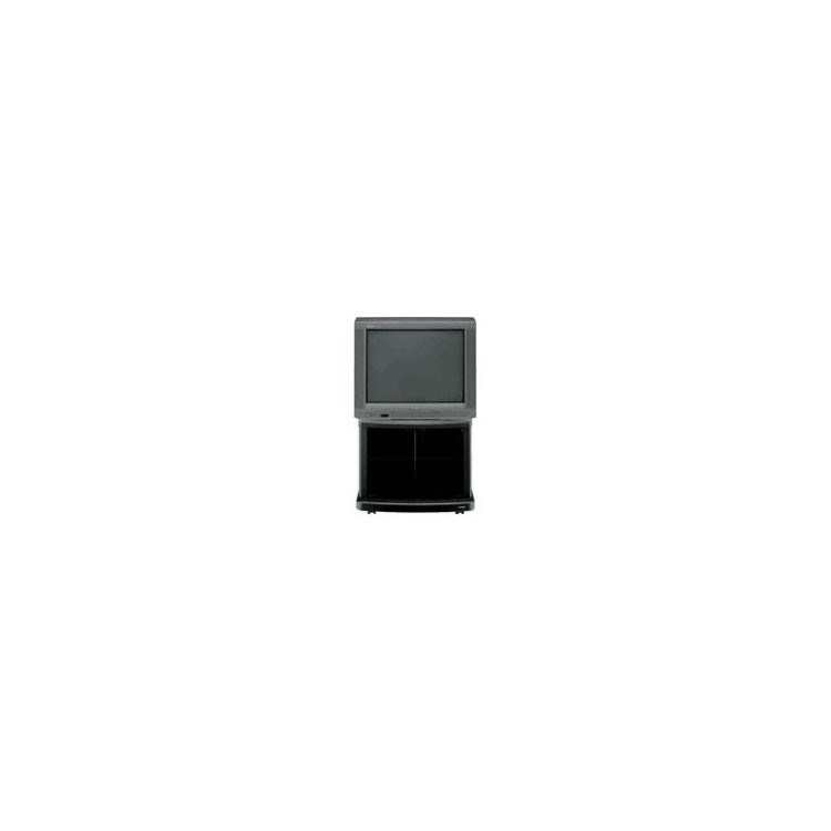 Panasonic TC-21G10R