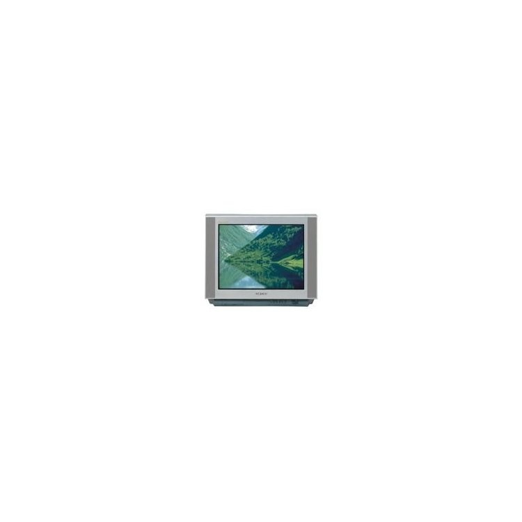 Samsung CS-25A6WTQ
