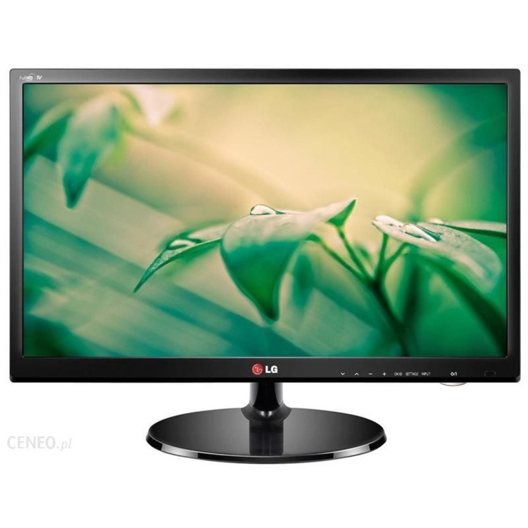 LG 22MN43D