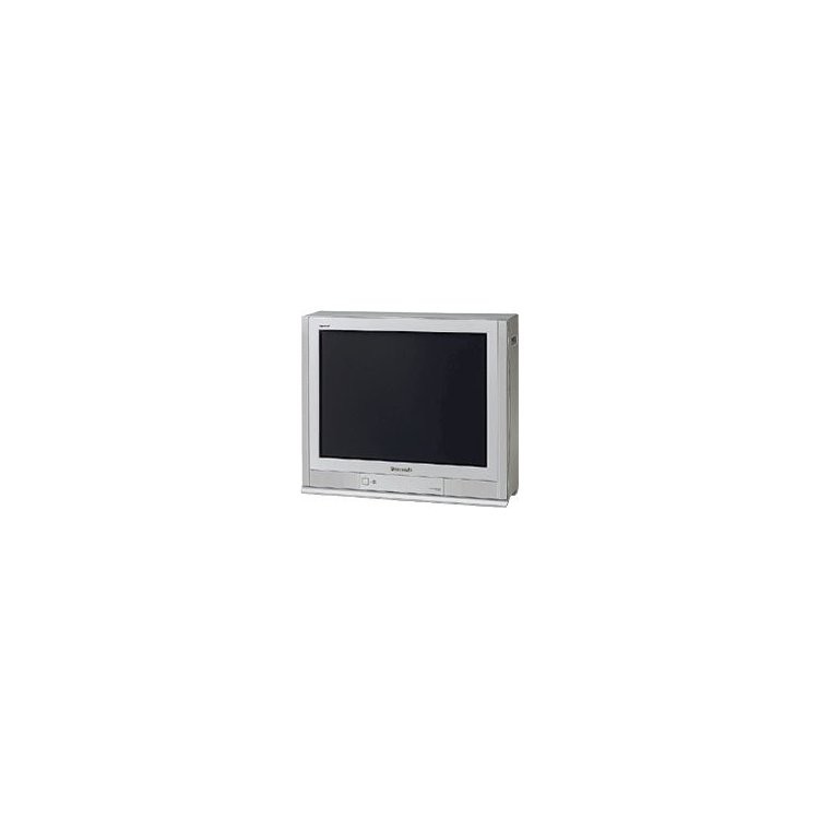 Panasonic TX-25P80T