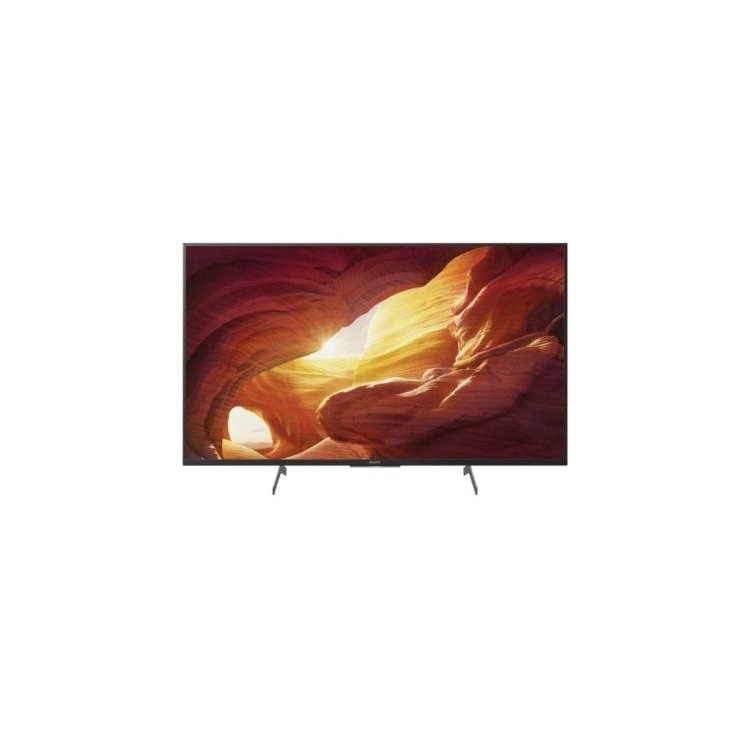 Sony KD-49XH8596BR