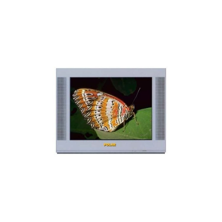 Polar 37CTV3150