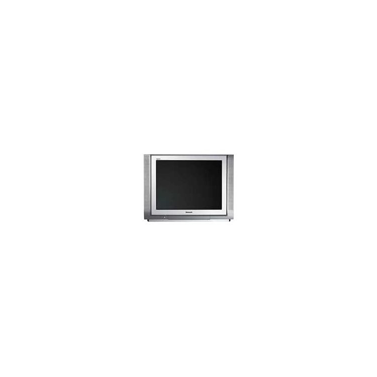 Panasonic TX-29PM1P