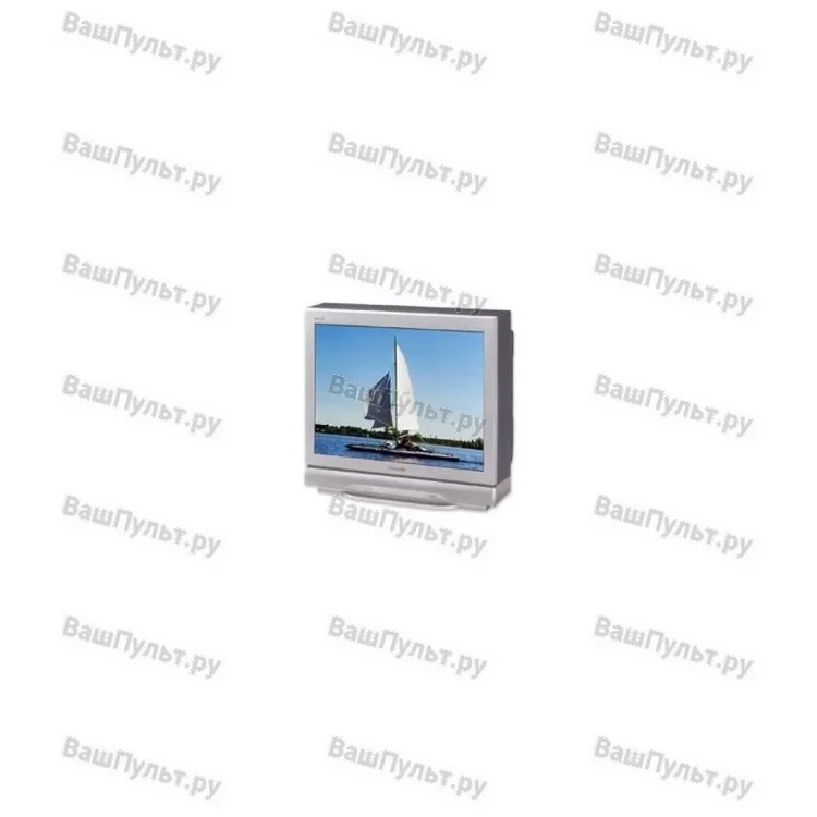 Panasonic TX-29P250T