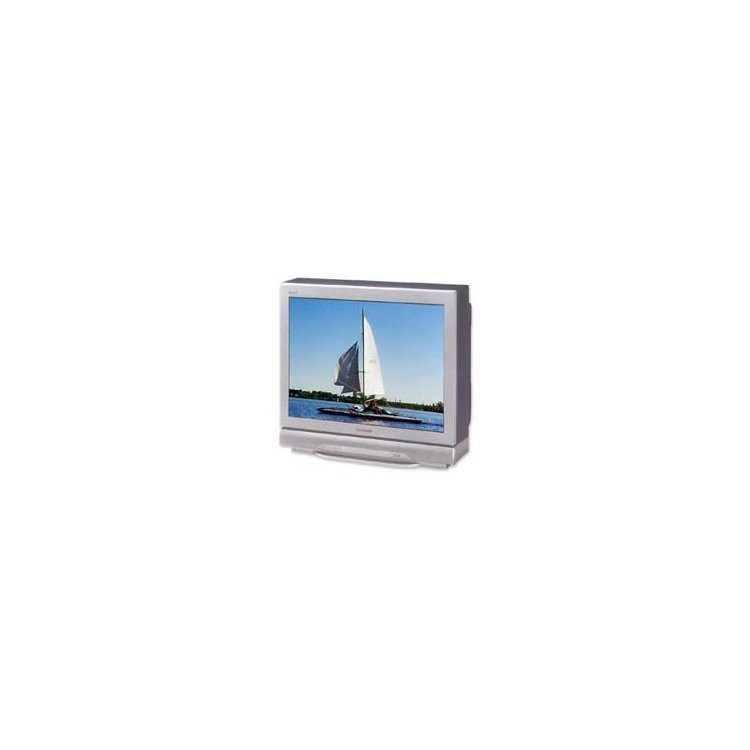 Panasonic TX-29P250T