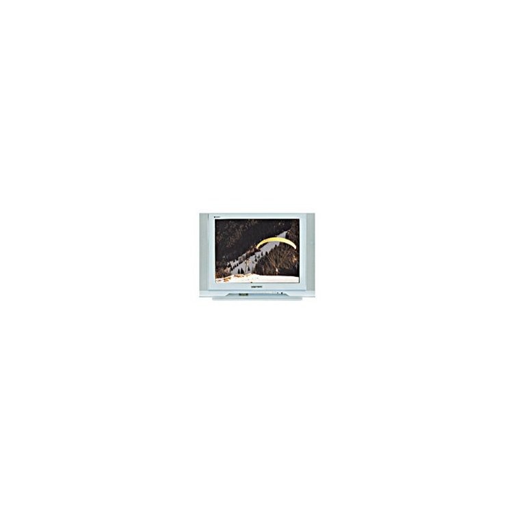 Hitachi C21-RM39S