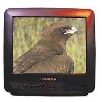 Сокол 37ТЦ6153