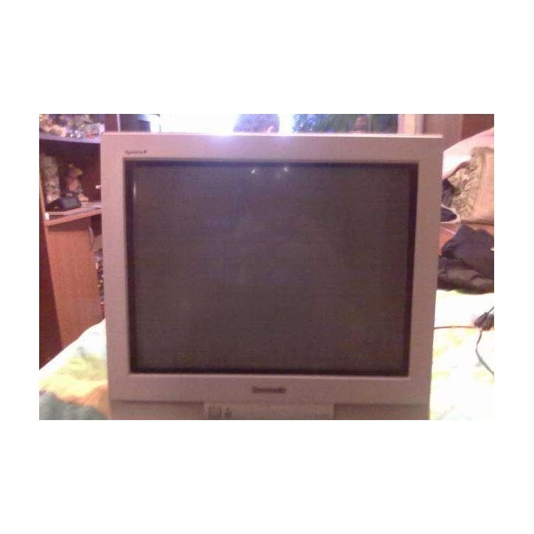 Panasonic TX-21PM10RQ