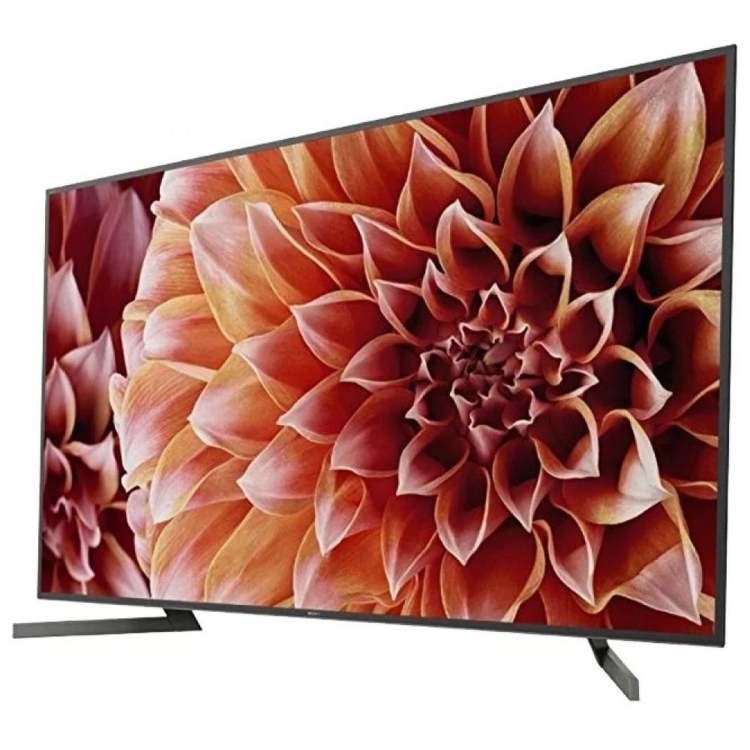 Sony KD-55XF9005BR2