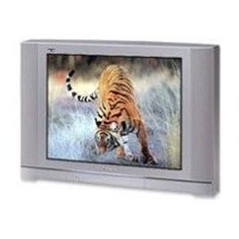 Panasonic TX-29PS2P, TX-29PS2B