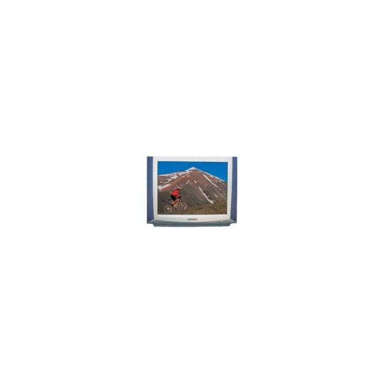 Shivaki STV-2973