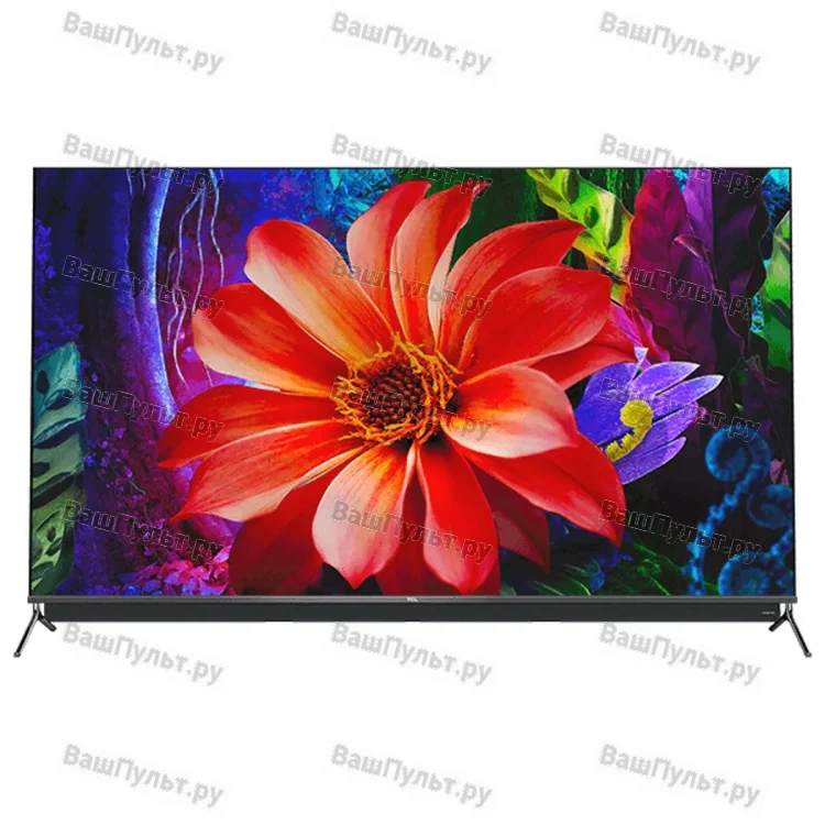 TCL 55C815