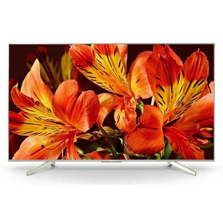 Sony KD-49XF8596BR2