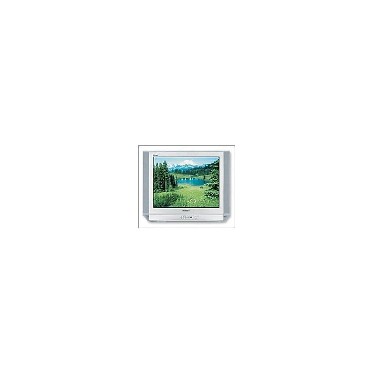 Samsung CS-25D8WTR