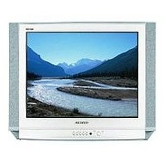 Samsung CS-25D8R