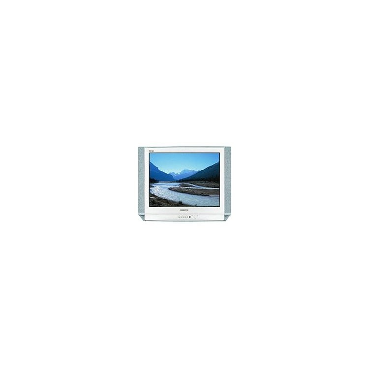 Samsung CS-25D8R