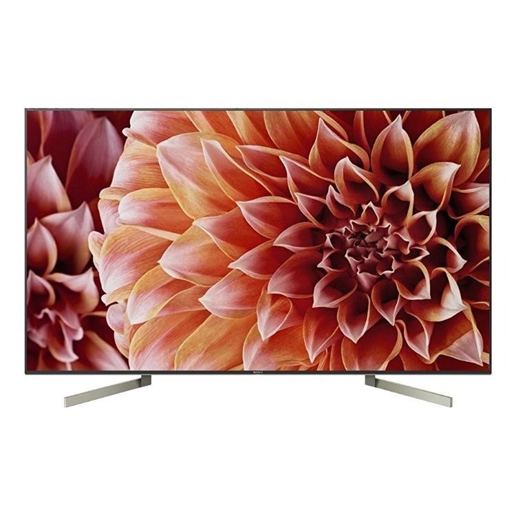 Sony KD-49XF9005BR2