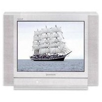 Panasonic TC-21PM30R