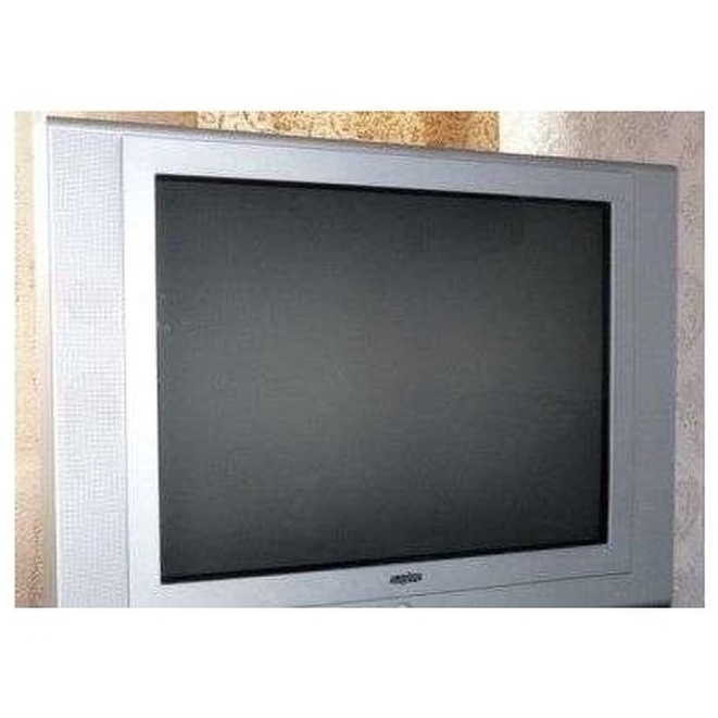 Sanyo CF29-145R